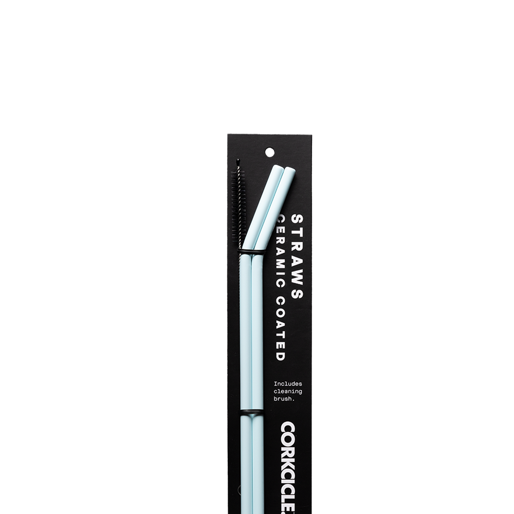 Ceramic Coated Straw Set - Modern Clean Ready Pick