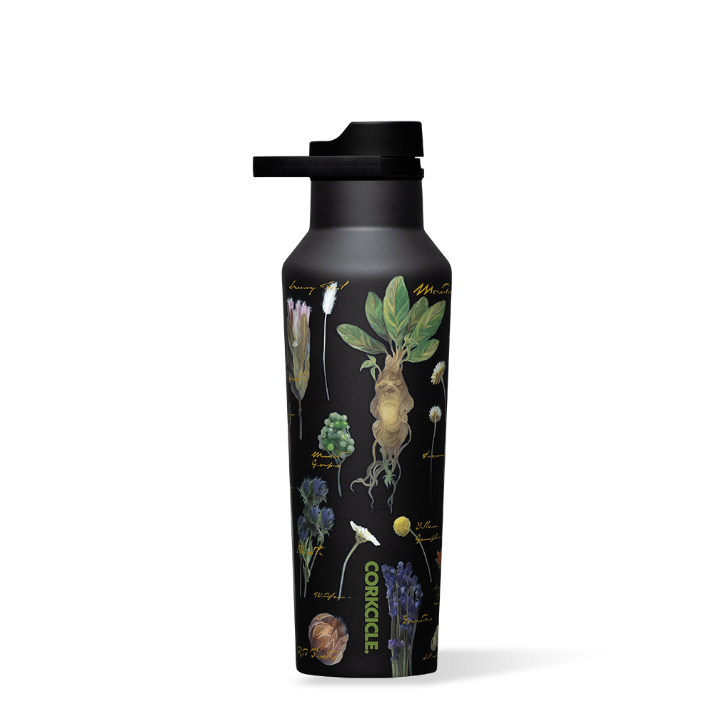 Harry Potter Sport Canteen - Daily Clean Set