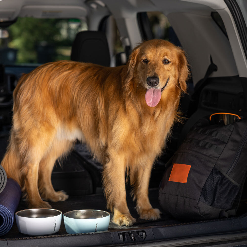 Dog Bowl - Premium Travel Carry Style